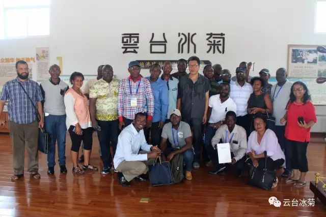 目測(cè)這朵菊花要火，國(guó)外專家為它頻頻而來······