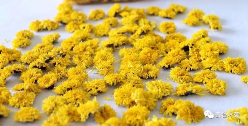 2018，種下希望，靜待花開！